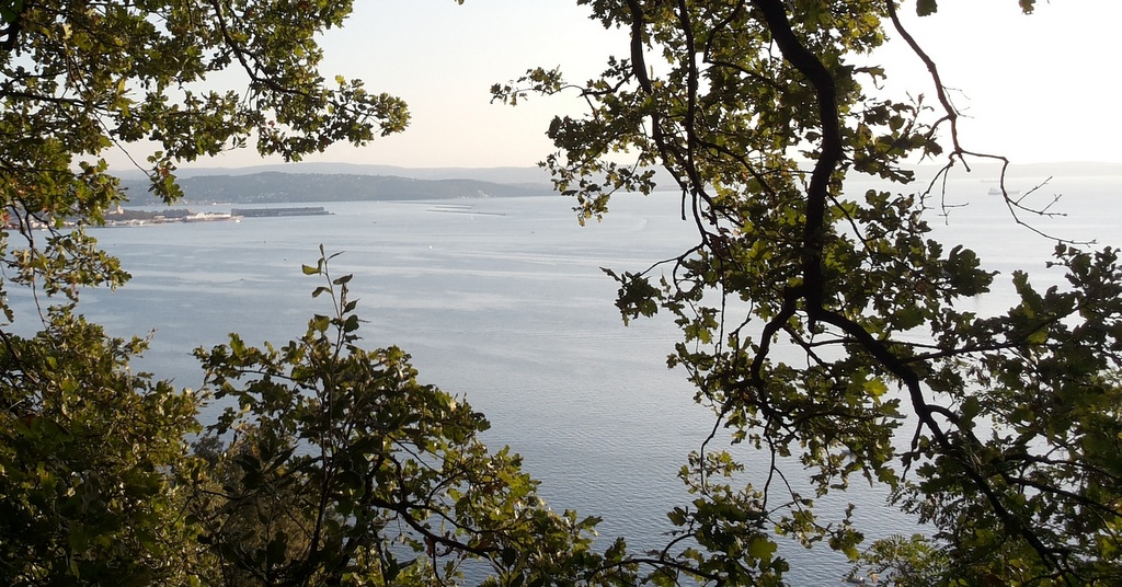 Aste, immobiliari, Trieste, I AM, cerco, casa, Contovello